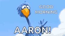Good Morning Greetings GIF - Good Morning Greetings Bird GIFs