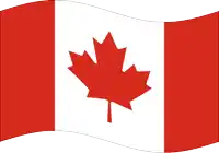 a canadian flag with a maple leaf on it