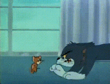 Tom And Jerry Tom Cat GIF - Tom And Jerry Tom Cat Jerry Mouse GIFs