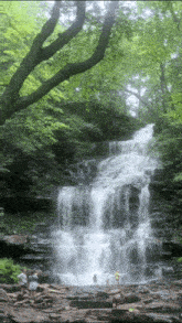a waterfall in the middle of a forest with people standing in front