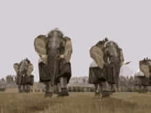 Armoured Elephants Rome Total War GIF - Armoured Elephants Rome Total War Carthage GIFs