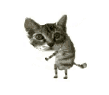 Dance Funny GIF - Dance Funny Cats GIFs