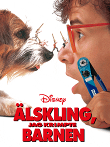 a poster for a disney movie called alskling