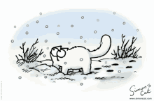 simon snow cat
