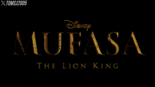 Mufasa The Lion King GIF - Mufasa The Lion King Walt Disney Studios Motion Pictures GIFs