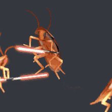 Yes Cockroach GIF - Yes Cockroach Fight GIFs