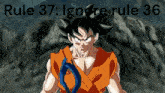 Rule 37 Ignore Rule GIF - Rule 37 Ignore Rule Goku GIFs