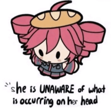 a drawing of a girl with the words " she is unaware of what is occurring on her head " on the bottom