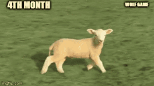 Wolfgame Nftech GIF - Wolfgame Nftech GIFs