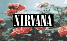 Nirvana GIF