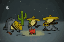 Taco Cactus GIF - Taco Cactus Camp GIFs