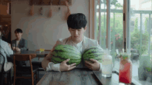 Hoya Watermelons GIF - Hoya Watermelons Devilish Joy GIFs