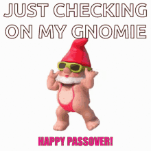 Passover Gnomeoandjuliet GIF