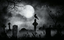 Cemetery Link GIF - Cemetery Link Links GIFs