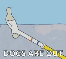 GIF