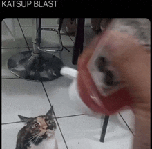 a cat is looking at a bottle of ketchup that is being poured on it