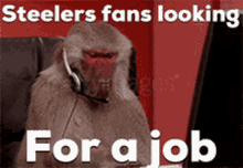 Steelers Fans Steelers GIF