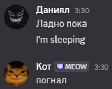 a screenshot of a chat with a cat saying i 'm sleeping and another cat saying kot meow