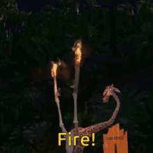 Melman Fire GIF - Melman Fire Fire Fire Fire GIFs