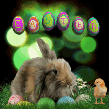 Easter Bunny GIF - Easter Bunny Chick GIFs