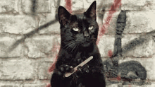 Black Cat Cute GIF - Black Cat Cute Funny GIFs