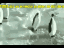 Fora Temer GIF - Slap Penguin Foratemer GIFs