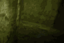 a dark room with a yellow wall and a few trees