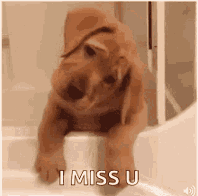 puppy i miss you meme