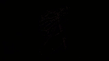 a computer generated image of a colorful butterfly with a black background