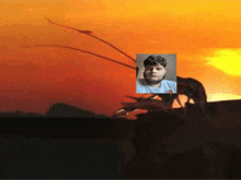 a picture of a man and a picture of a cockroach