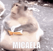 Micaela GIF - Micaela GIFs