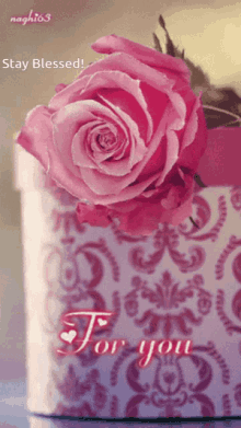 Blessed Pink Pinks Blessed GIF - Blessed Pink Pinks Blessed GIFs