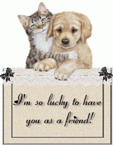 Dog Cat Sticker - Dog Cat Cat And Dog - Discover & Share GIFs