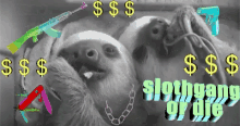 Sloth Swag GIF
