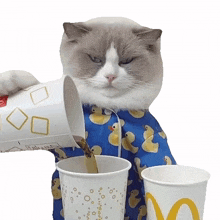 pouring a drink puff meow chef that little puff pouring a beverage