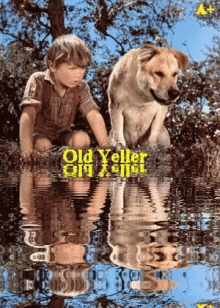 Animated Poster GIF - Poster Old Yeller Dog GIFs