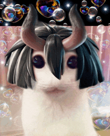 a cat with horns and a wig is surrounded by bubbles