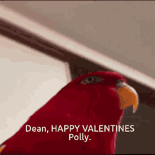 dean polly valentines