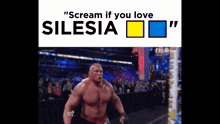Silesia Slask GIF
