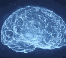Tcl Education GIF