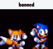 Banned Sonic The Hedgehog GIF - Banned Sonic The Hedgehog Tails Sonic GIFs