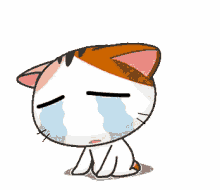 Gojill The Meow Cry GIF - Gojill The Meow Cry Kitty GIFs