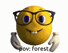 a smiley face with glasses and the words pov forest