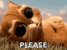 Pussinboots Cat GIF - Pussinboots Cat Sadface GIFs