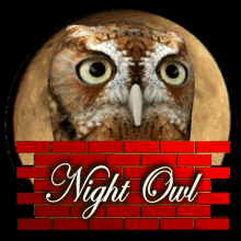 Night Owl Up All Night GIF - Night Owl Up All Night Awake At Night GIFs