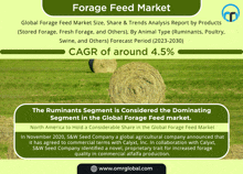 Forage Feed Market GIF - Forage Feed Market GIFs