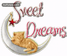 sweet dreams good night wishes good night greetings good night english