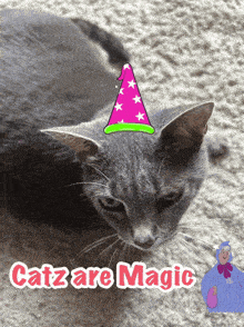 a cat wearing a wizard hat with the words catz are magic written below it