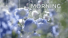 Hydrangea Flowers GIF - Hydrangea Flowers Good Morning GIFs