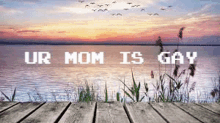 Ur Mom Is Gay GIF - Ur Mom Is Gay GIFs